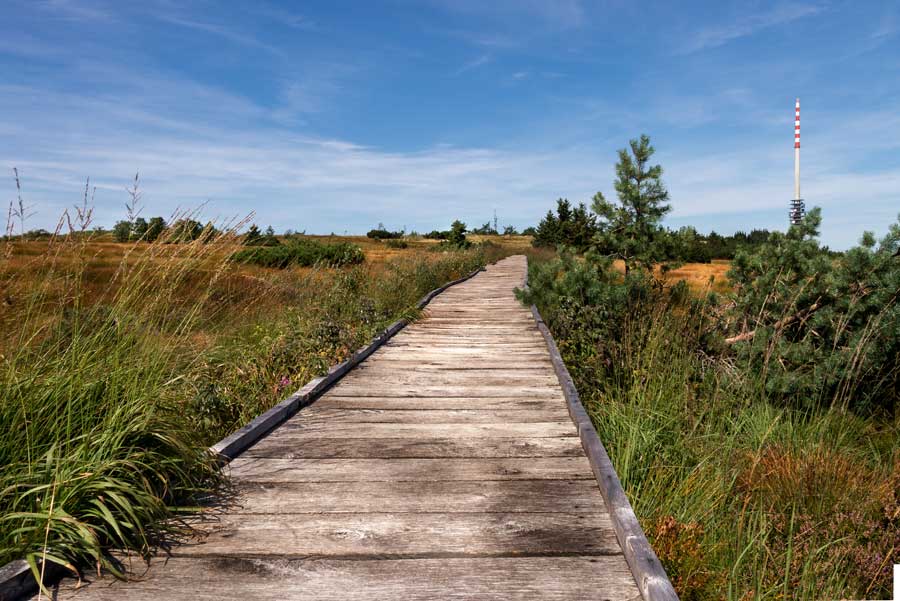 auf der Hornisgrinde