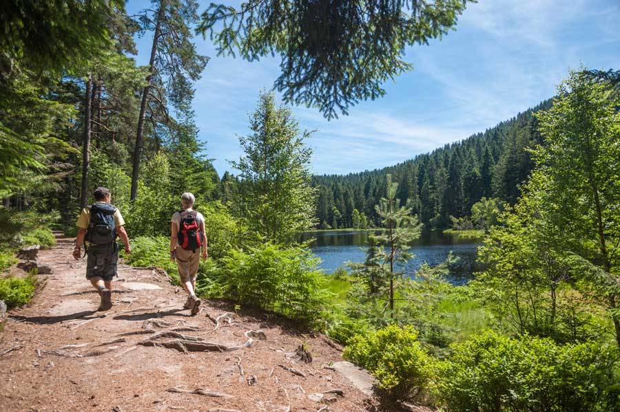 wandern-im-schwarzwald