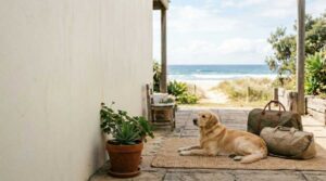 ferienhaus-mit-hund-am-meer