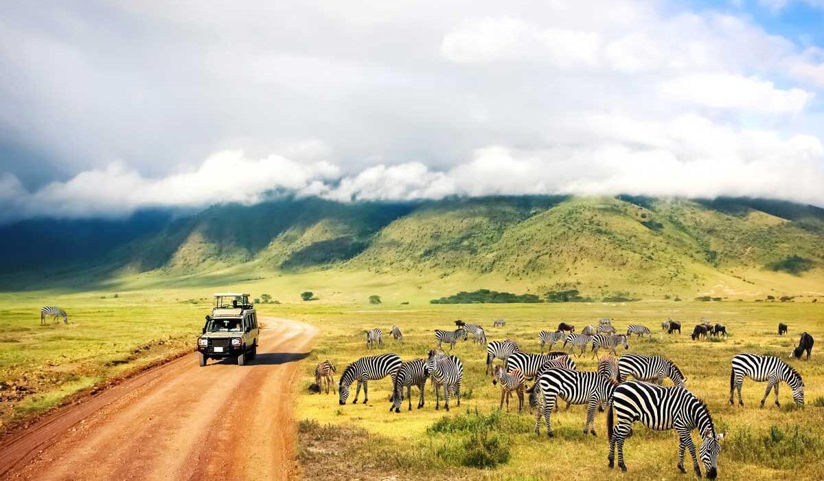 safari-in-tansania-reisezeit