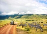 safari-in-tansania-reisezeit