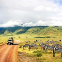 safari-in-tansania-reisezeit