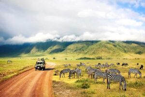 safari-in-tansania-reisezeit