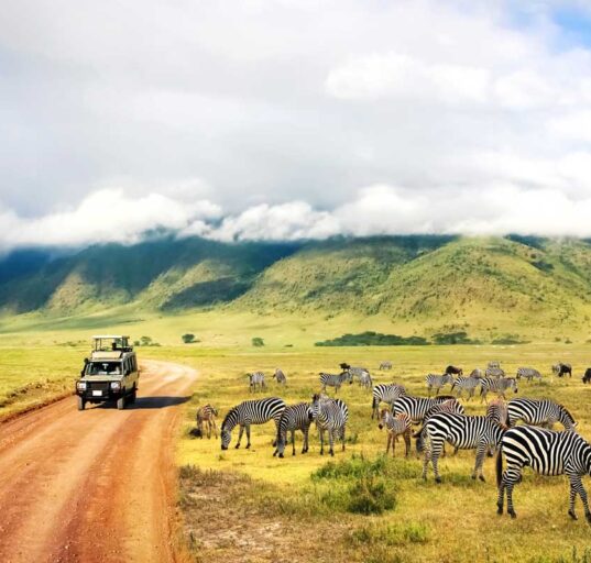 safari-in-tansania-reisezeit