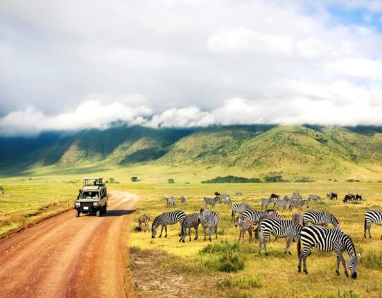 safari-in-tansania-reisezeit
