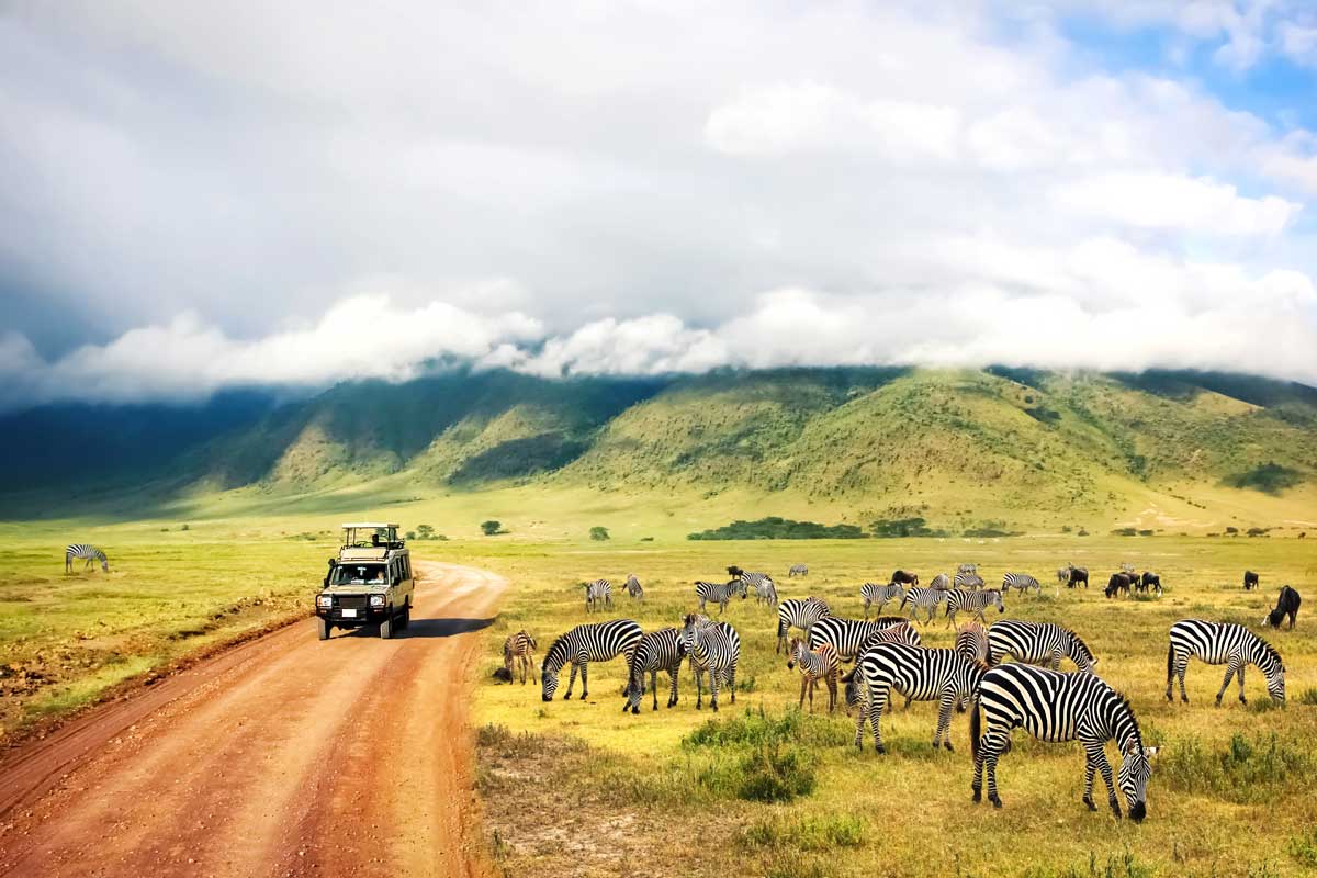 safari-in-tansania-reisezeit