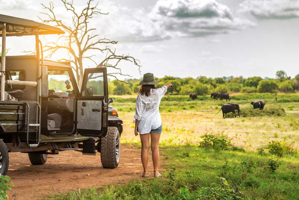 safari-tansania