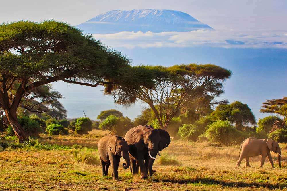 Amboseli