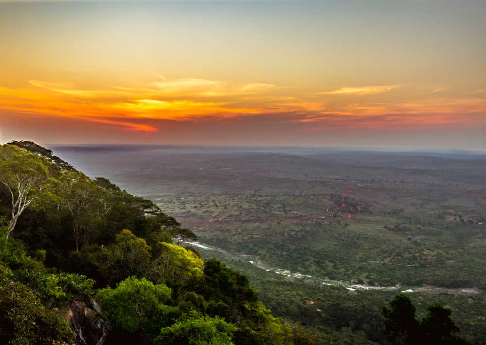 Shimba Hills