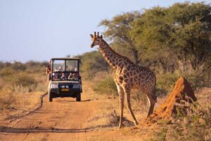 safari-kenia