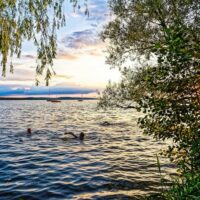 Sonnenuntergang-am-Steinhuder-Meer