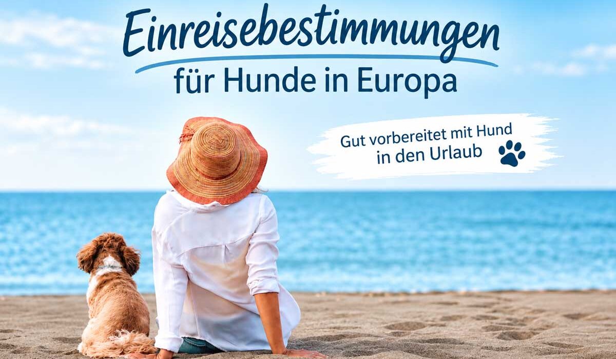 einreisebestimmung-fuer-hunde-in-Europa