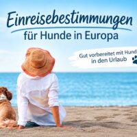 einreisebestimmung-fuer-hunde-in-Europa