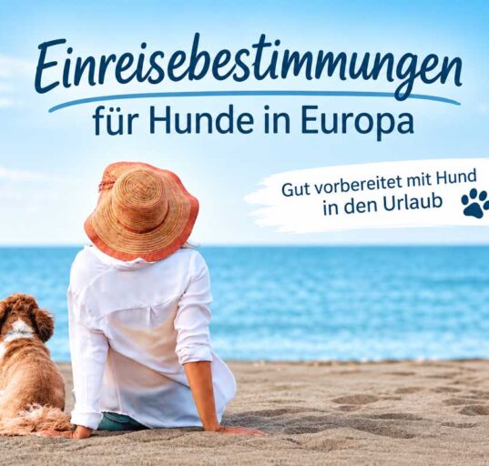 einreisebestimmung-fuer-hunde-in-Europa
