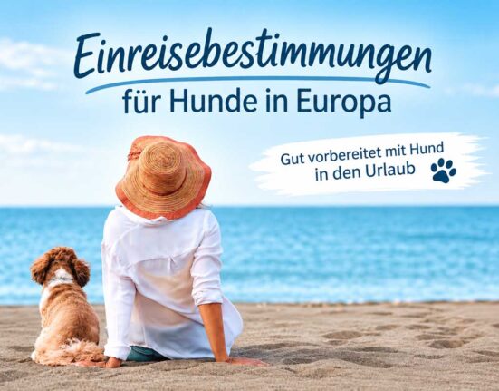 einreisebestimmung-fuer-hunde-in-Europa