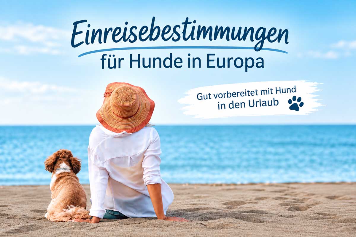 einreisebestimmung-fuer-hunde-in-Europa