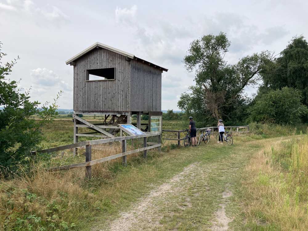 mit-fahrrad-rund-um-das-steinhuder-meer