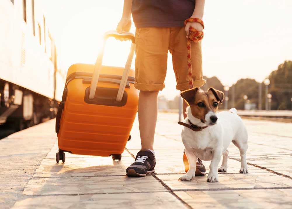 mit-hund-am-bahnhof