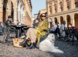 mit-hund-im-urlaub-in-der-stadt