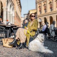 mit-hund-im-urlaub-in-der-stadt