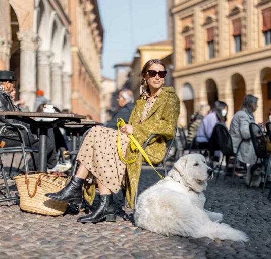 mit-hund-im-urlaub-in-der-stadt