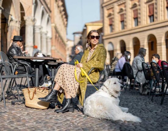 mit-hund-im-urlaub-in-der-stadt