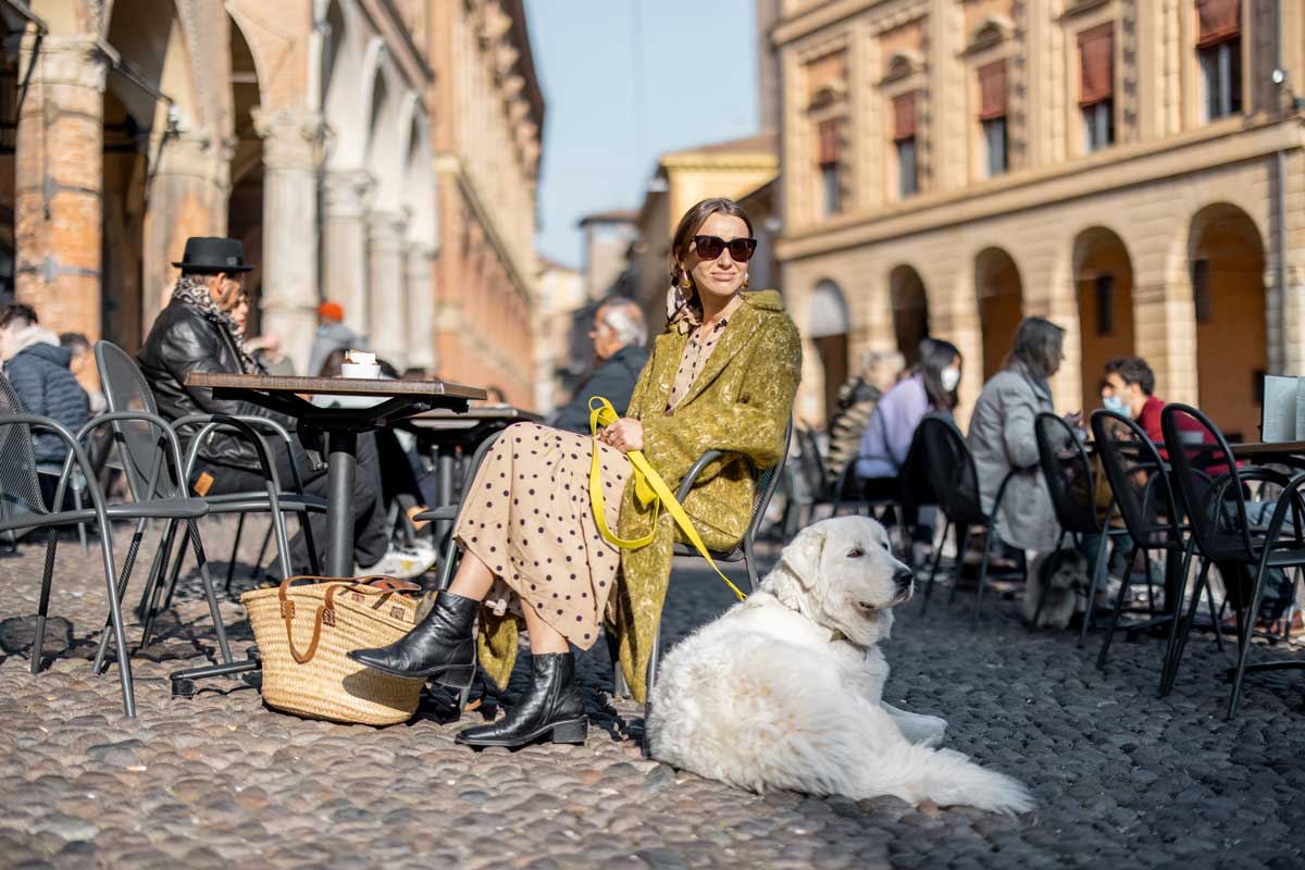 mit-hund-im-urlaub-in-der-stadt