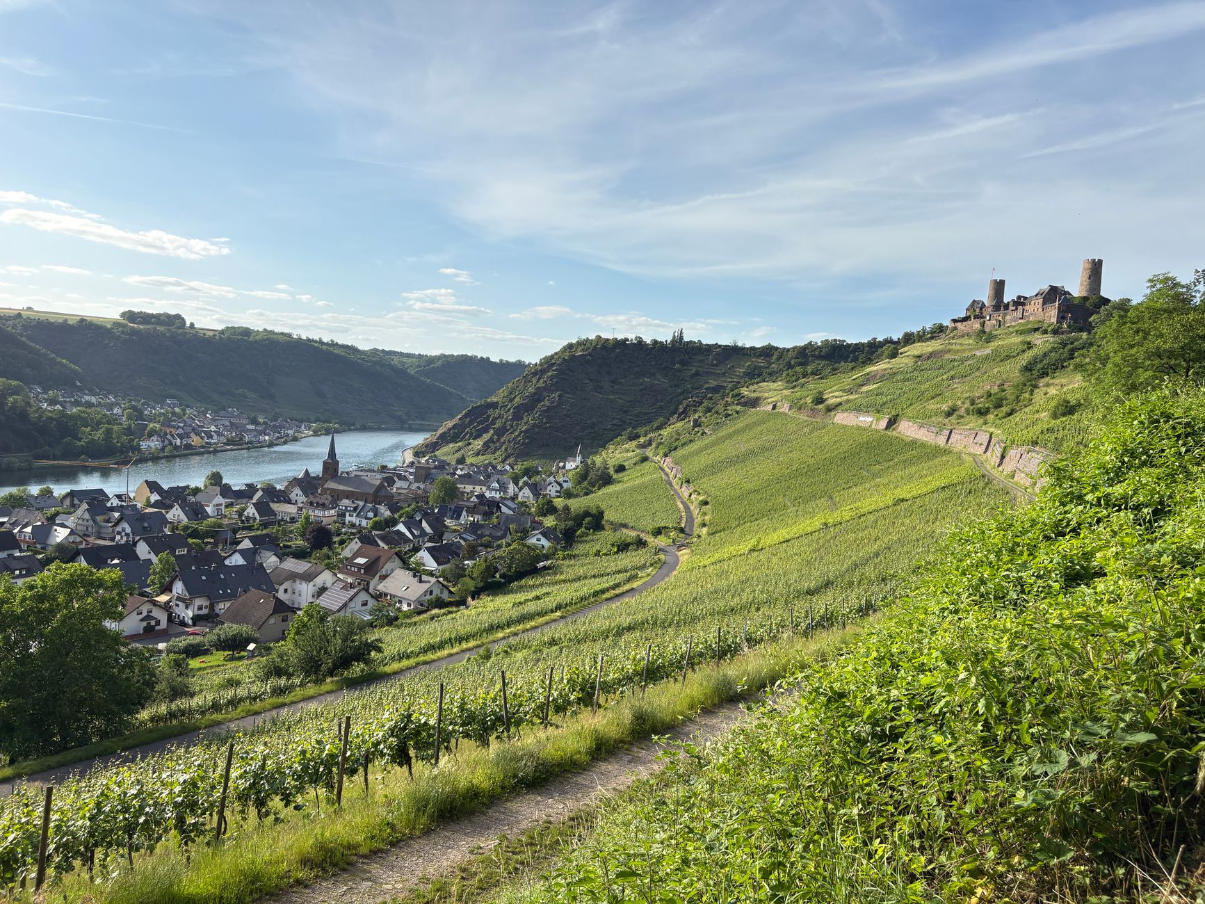 Burg über Weinbergen im Oberen Mittelrheintal mit Blick auf den Rhein