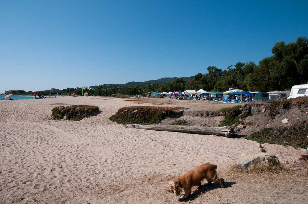 camping-in-korsika-mit-hund