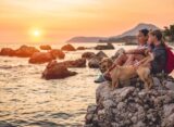 hund-im-urlaub