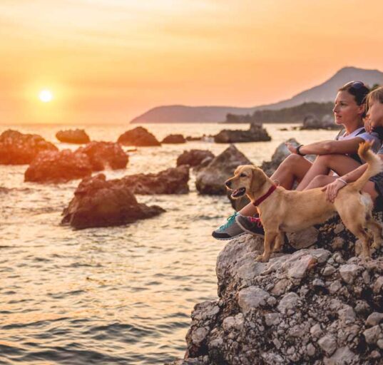 hund-im-urlaub