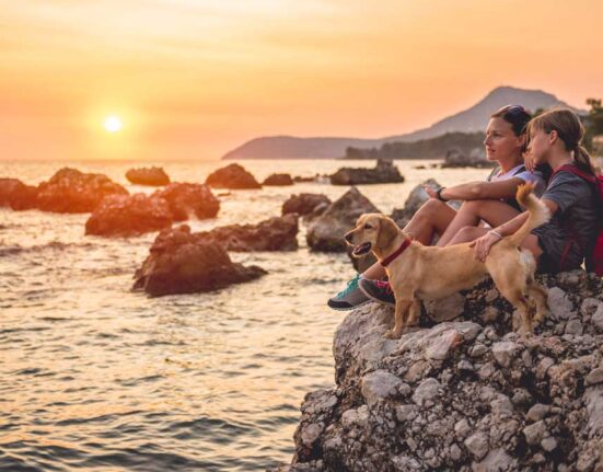hund-im-urlaub