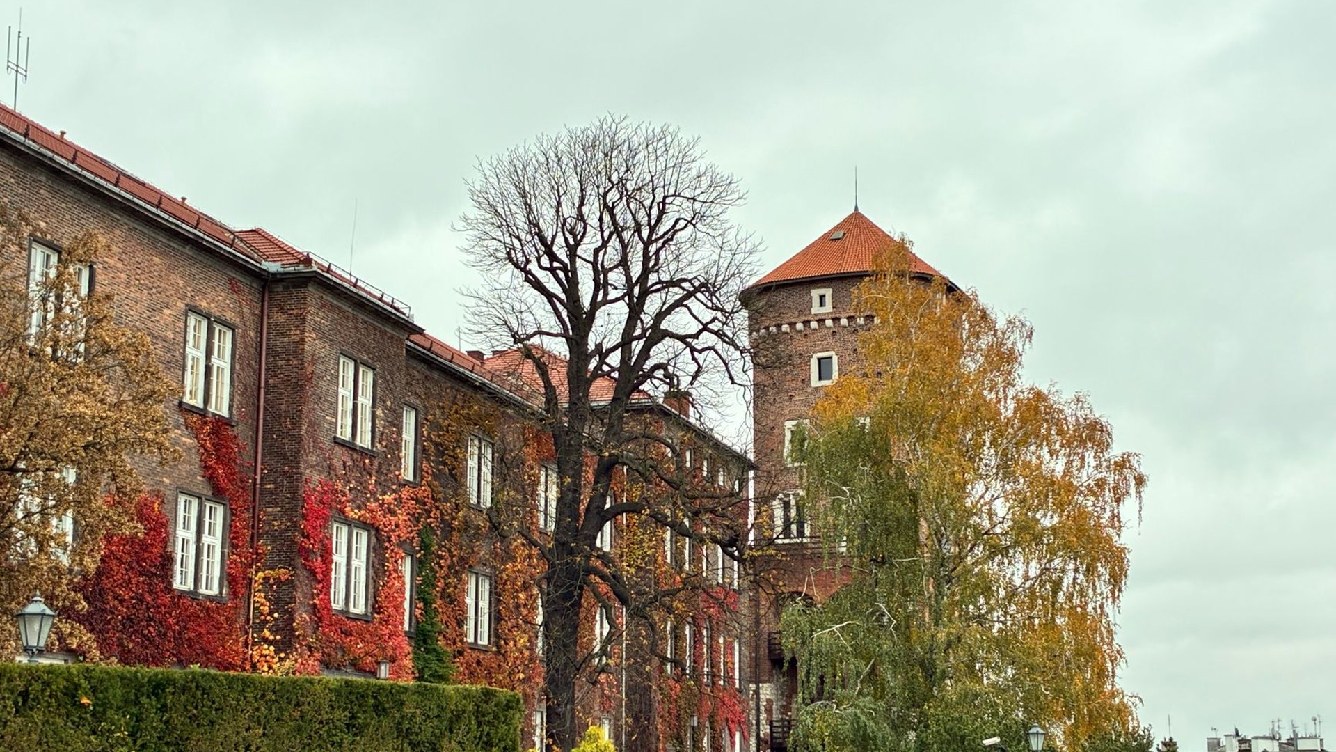 Wawel-Schloss in Krakau über der Weichsel