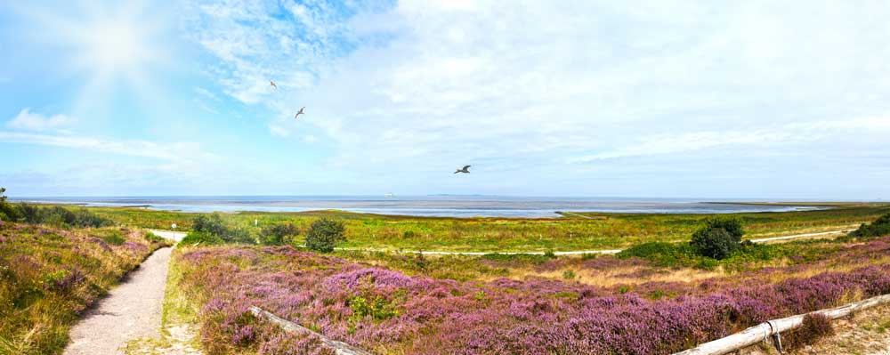 unberuehrte-natur-bei-cuxhaven